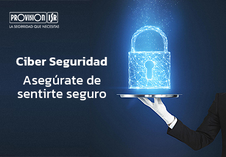 ciber seguridad